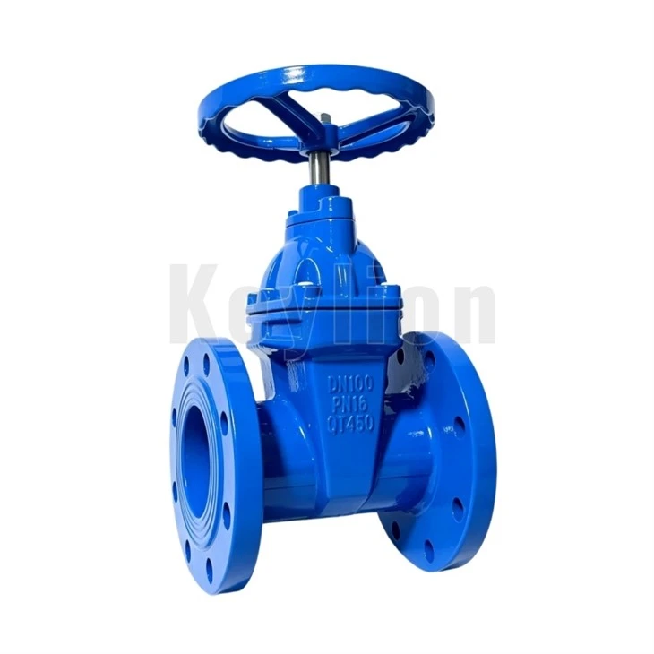 Flanġ OS&Y Gate Valve